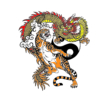Kép 1/5 - Tigris és sárkány | grafikás női póló