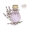 Kép 2/3 - Levendula fiola | grafikás vászontáska