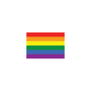 Kép 2/3 - Rainbow flag | grafikas férfi pamutpóló