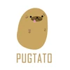 Kép 2/4 - Pugtato | grafikás fiú pamut póló