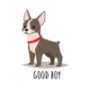 Kép 2/4 - Good boy | grafikás női pamutpóló