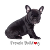 Kép 3/3 - French bully | mintás vászontáska