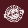 Kép 6/7 - Stamp | Budapest grafikás férfi póló