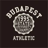 Kép 7/8 - BP 1995 Athletic | Budapest grafikás férfi póló