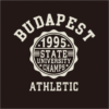 Kép 7/7 - BP 1995 Athletic | Budapest grafikás férfi póló