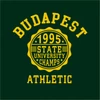 Kép 6/8 - BP 1995 Athletic | Budapest grafikás férfi póló