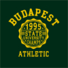 Kép 6/7 - BP 1995 Athletic | Budapest grafikás férfi póló