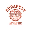 Kép 5/8 - BP 1995 Athletic | Budapest grafikás férfi póló