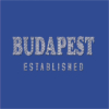 Kép 5/6 - Budapest Established| Budapest grafikás férfi póló