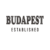 Kép 4/6 - Budapest Established| Budapest grafikás férfi póló