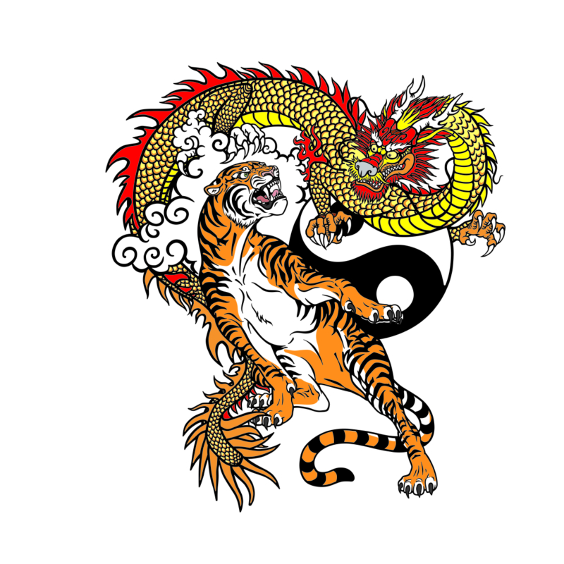 Tigris és sárkány | grafikás női póló