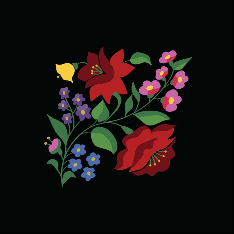 Kalocsai piros rózsa | grafikás női pamut pulóver