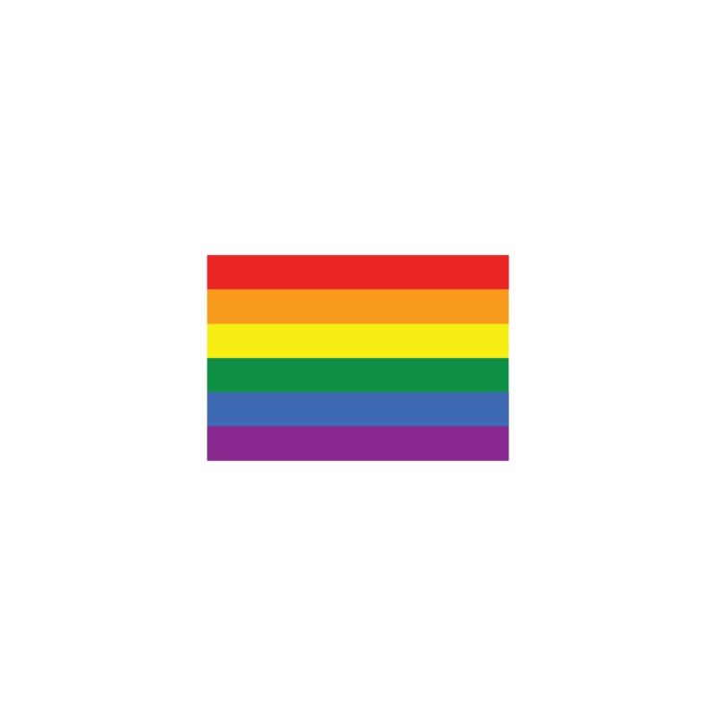 Rainbow flag | grafikás női pamutpóló