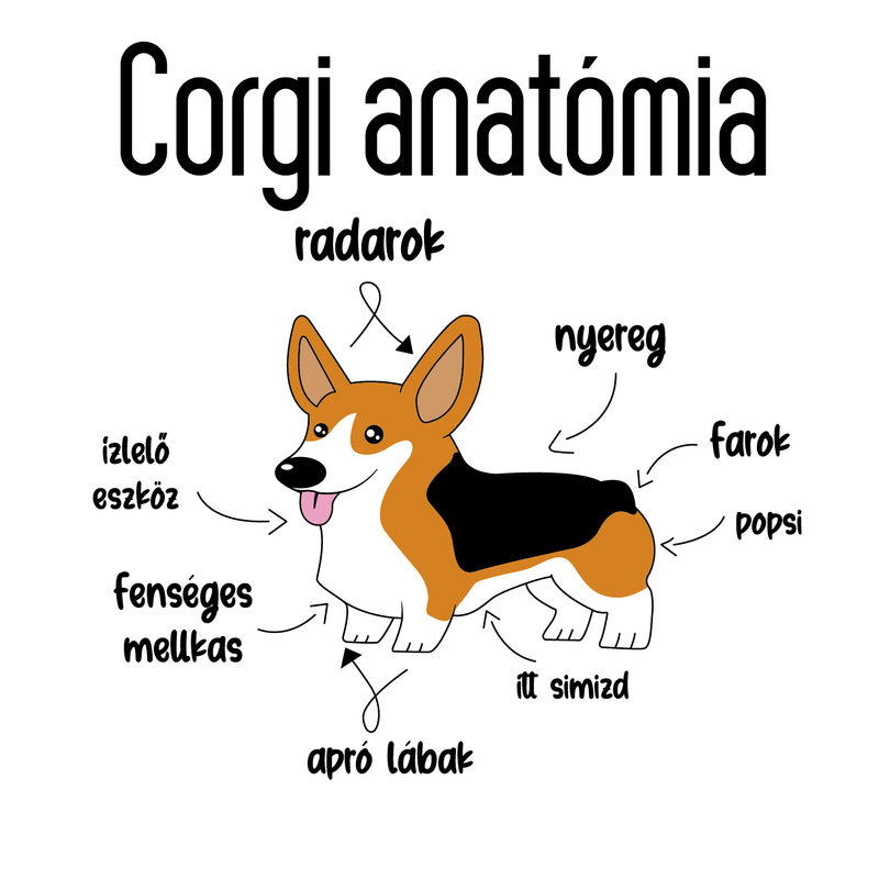 Corgi anatómia | grafikás lány pamutpóló
