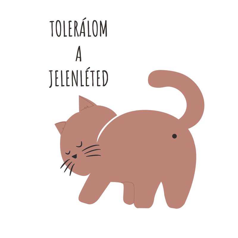 Tolerállak | grafikás férfi pamutpóló