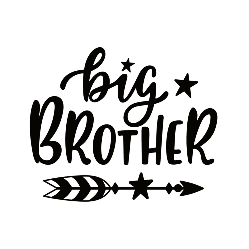 Big Brother | grafikás férfi pamutpóló