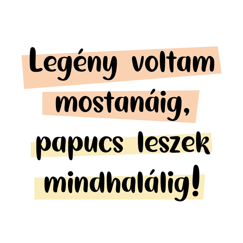 PAPUCS FÉRJ | grafikás férfi póló