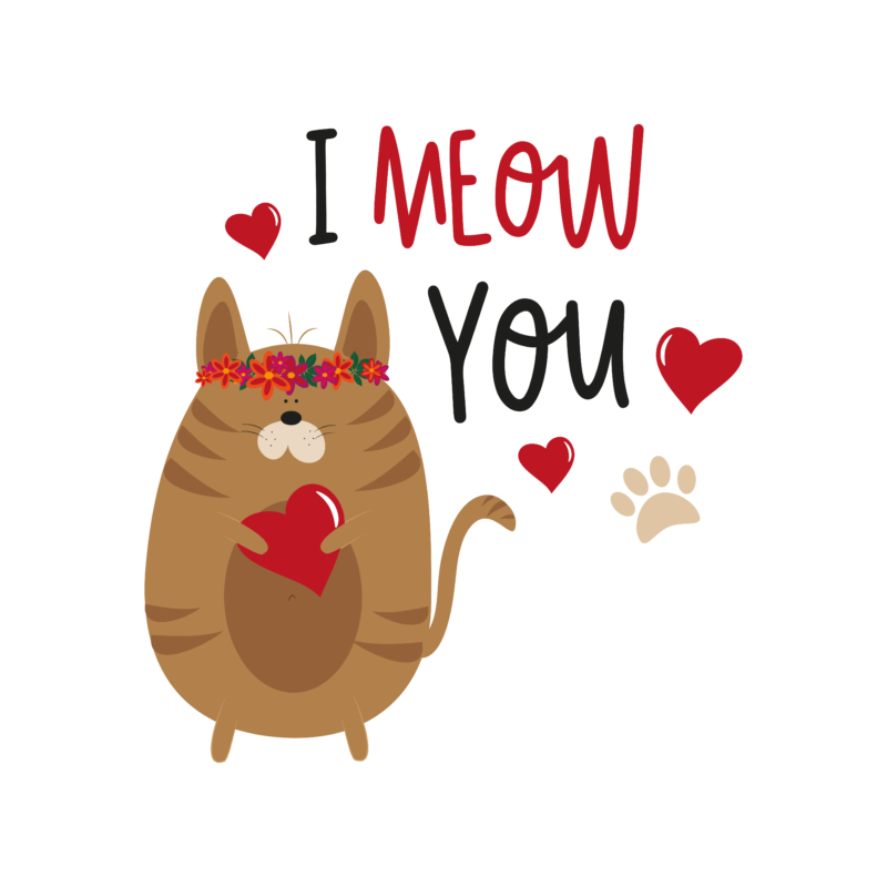 Meow love- macskás | grafikás páros pamutpóló